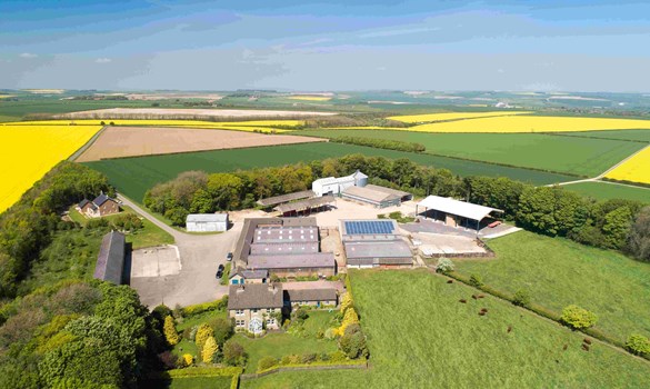 Huggate monitor farm 